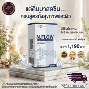 AMELIA N.FLOW (อมีเลีย เอ็น.โฟลว์) แบรนด์ อมีเลีย